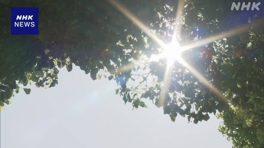 Nắng nóng đe dọa sức khỏe người dân Nhật Bản, cháy rừng bùng phát ở châu Âu